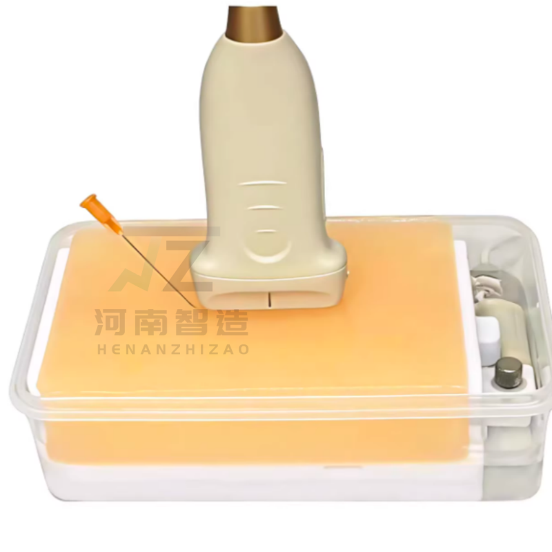 แบบจำลองฝึกเจาะหลอดเลือดด้วยอั - Medical Gel Ultrasound บทวิจารณ์และราคา