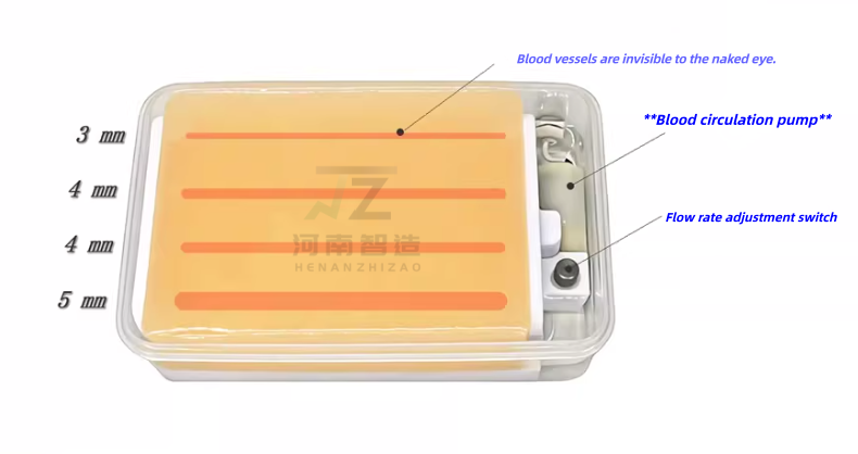 แบบจำลองฝึกเจาะหลอดเลือดด้วยอั - Medical Gel Ultrasound บทวิจารณ์และราคา